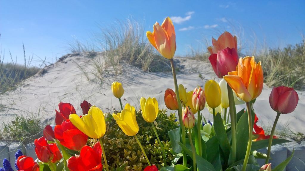 Ostsee Ferienappartements Dierhagen-Strand Klein & Fein 外观 照片
